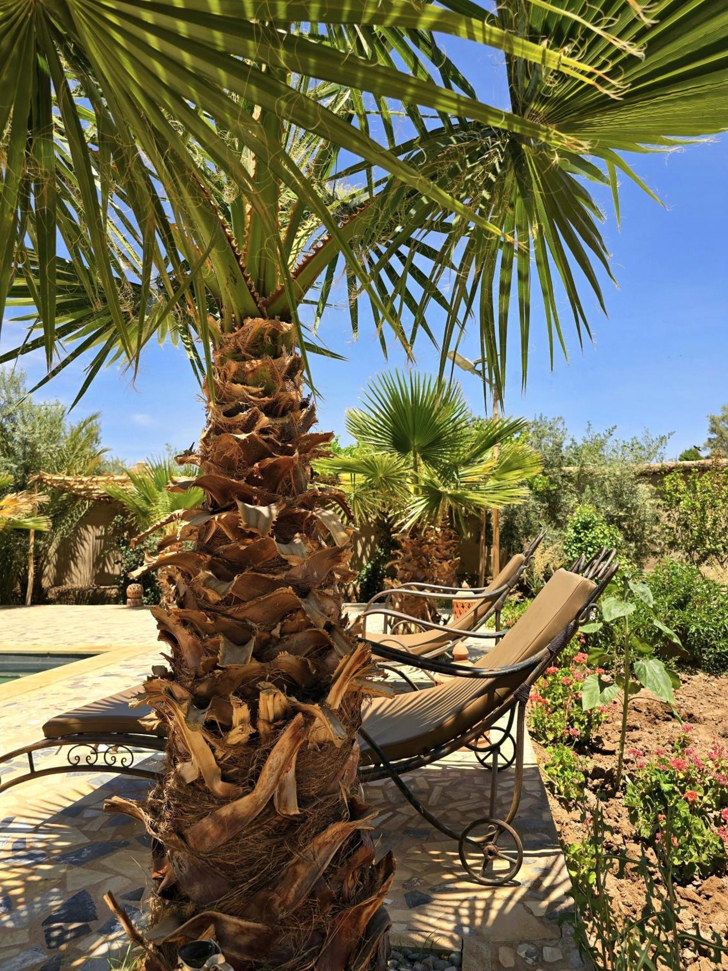 Riad Aman สกูรา ภายนอก รูปภาพ