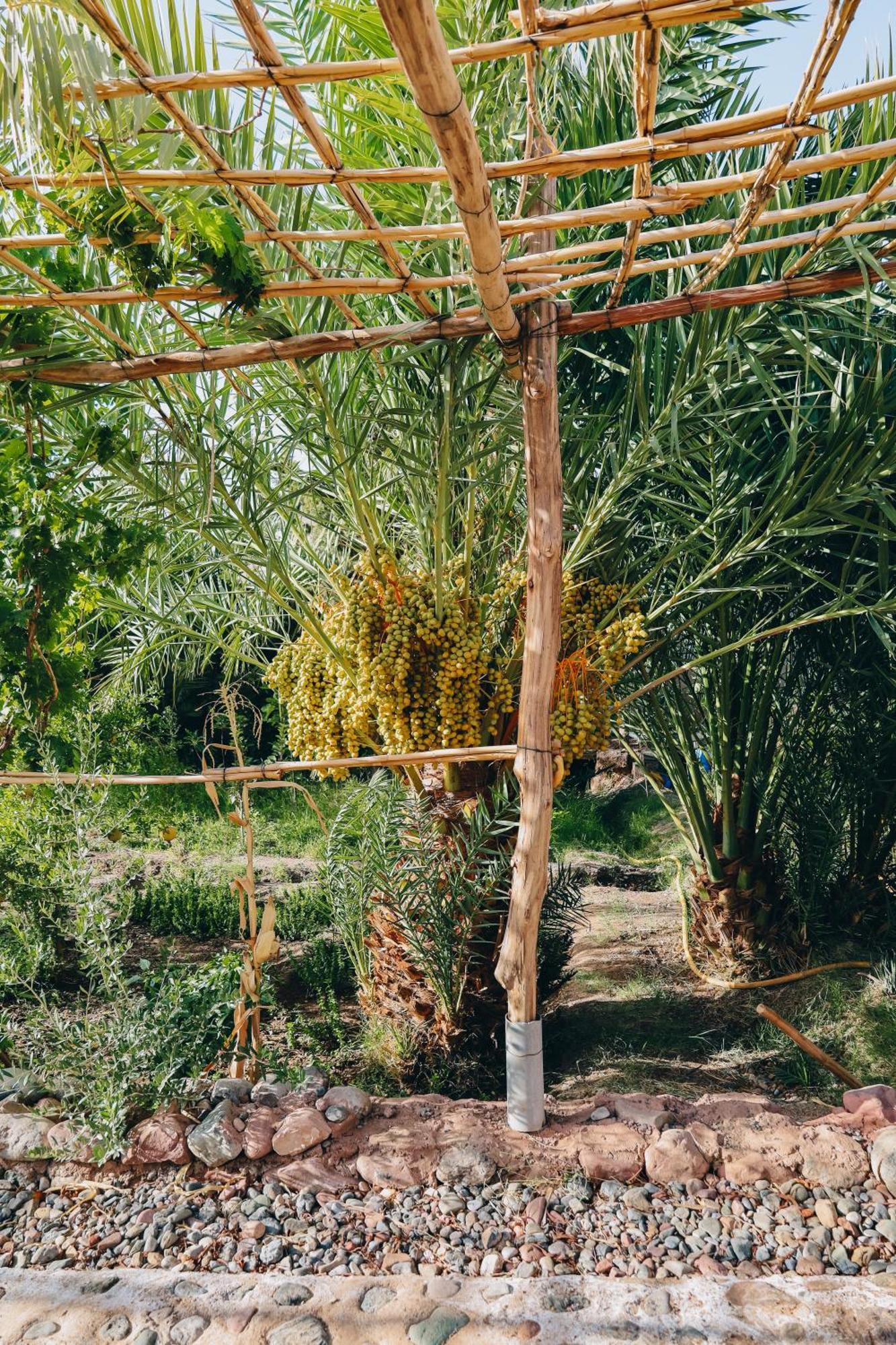 Riad Aman สกูรา ภายนอก รูปภาพ