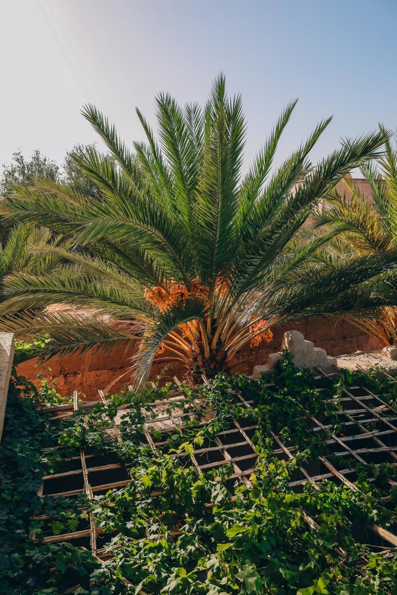 Riad Aman สกูรา ภายนอก รูปภาพ